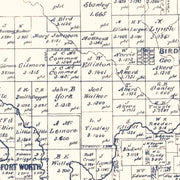 old Tarrant County m