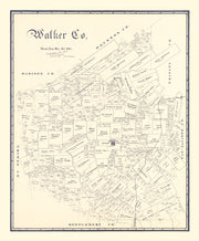 Walker County histor