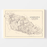 map of Angelina Coun