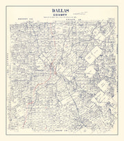 Dallas County histor
