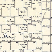 old Schleicher Count