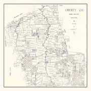 Liberty County histo