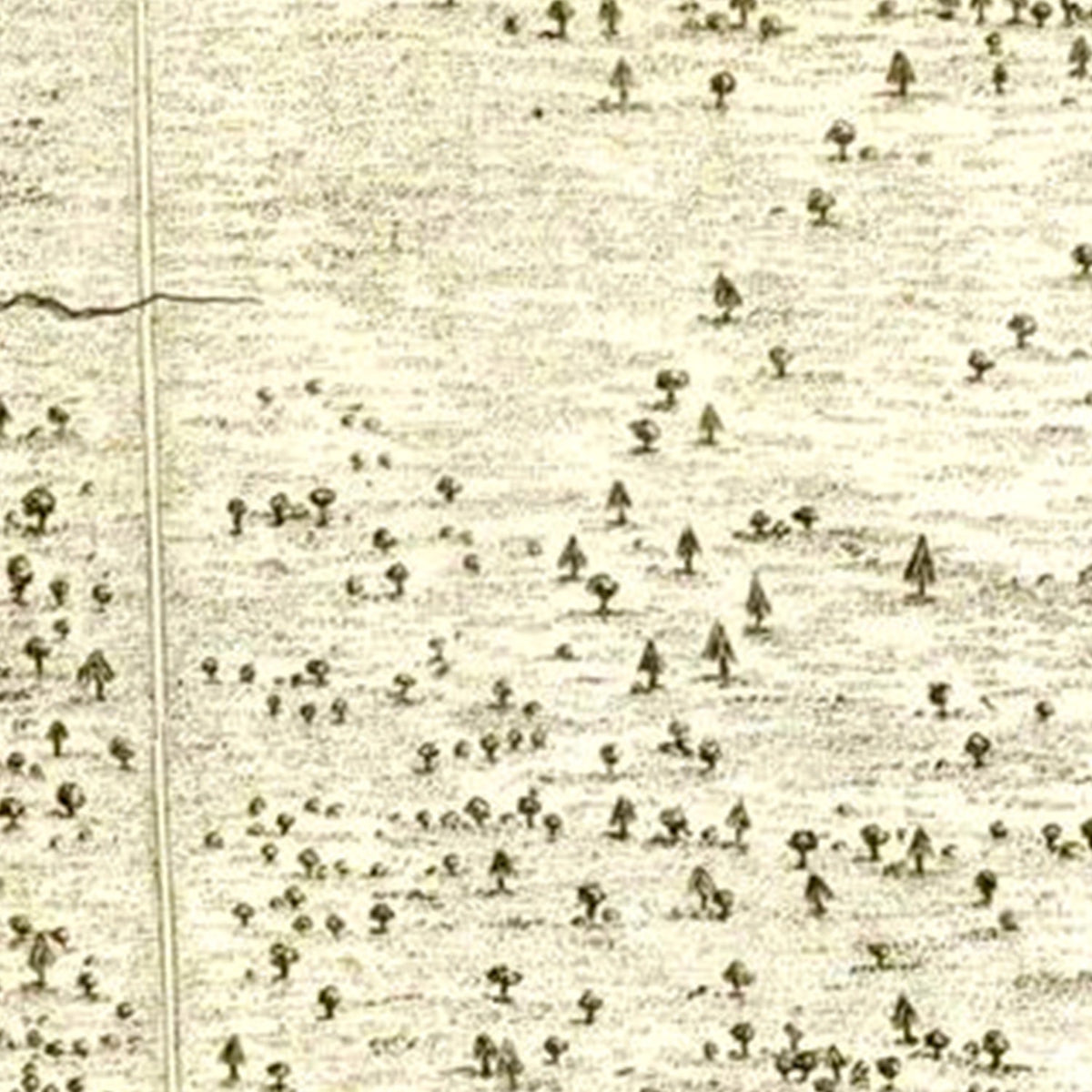 Restored historic details from the 1794 region map of Camden, South Carolina