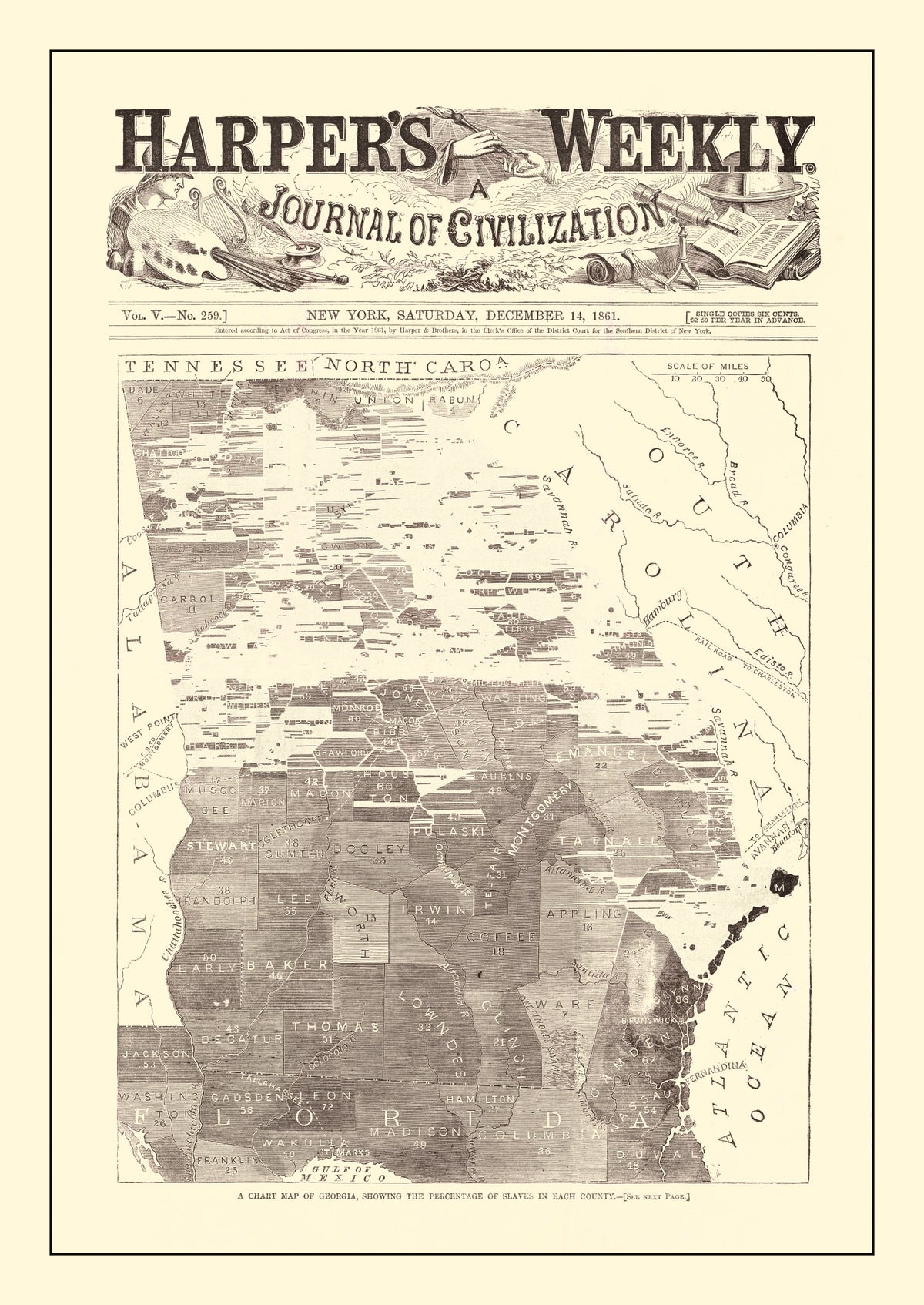 Preview of Vintage Georgia Slave Map 1861