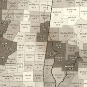old military map