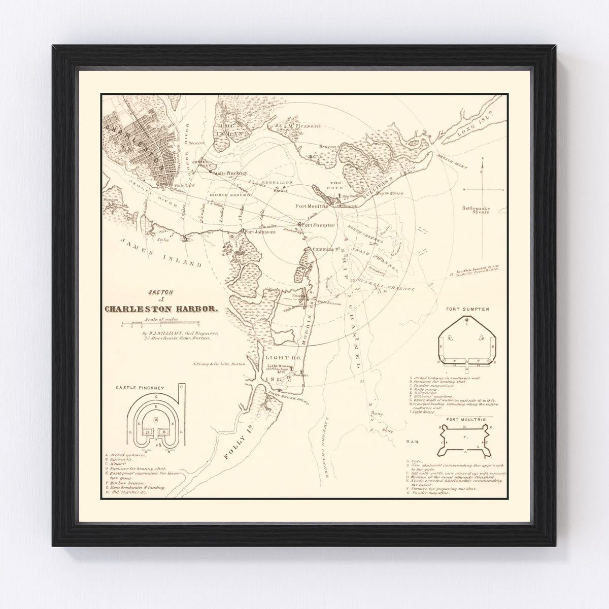 Charleston Harbor Vintage Map 1865