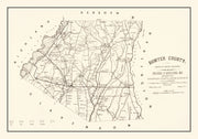 Sumter County histor