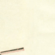 old Charleston map