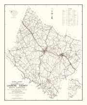 Laurens County histo