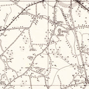 old Allendale County