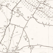 old Hampton County m