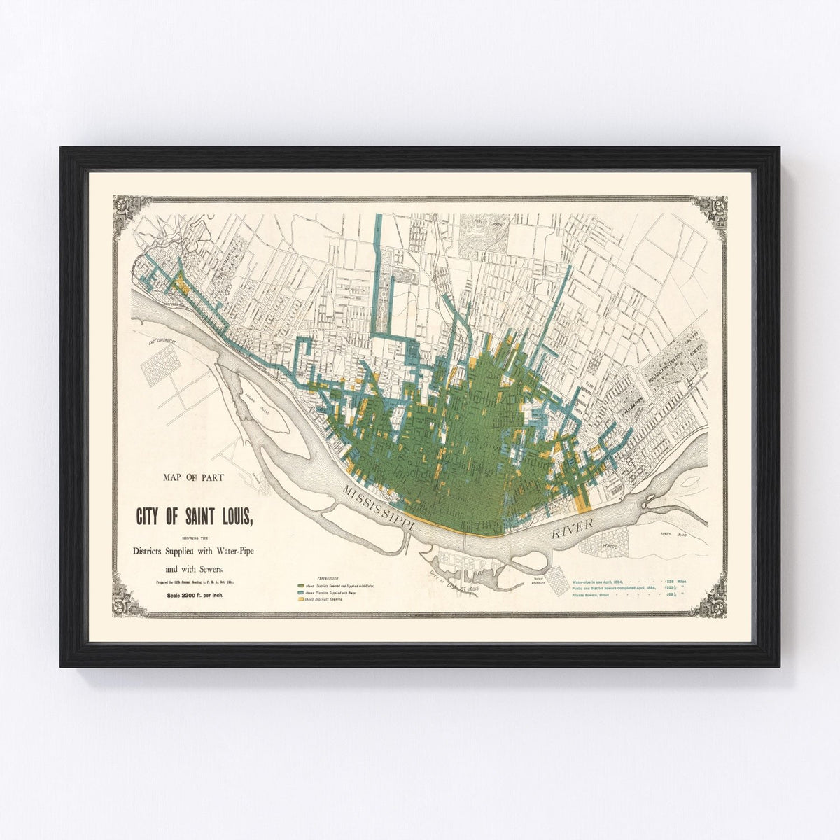 Saint Louis Vintage Map 1884