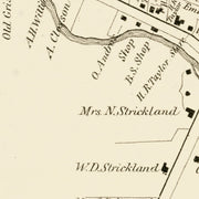 old South Glastenbur