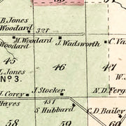 old Pinckney map
