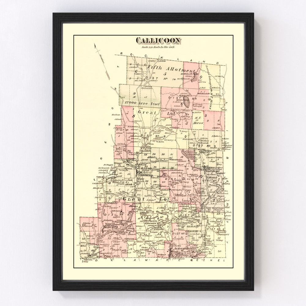 Callicoon Township Vintage Map 1875