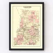 Callicoon Township Vintage Map 1875