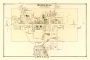 Monticello history