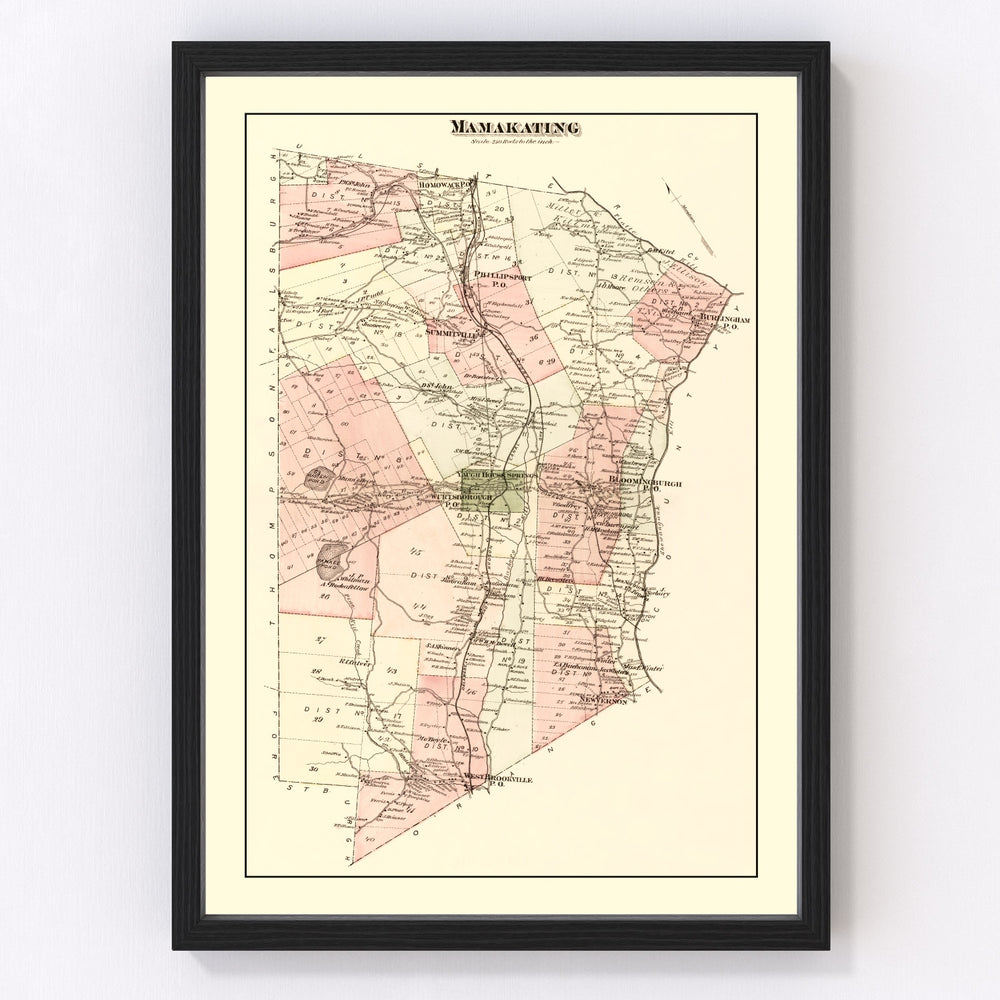 Mamakating Township Vintage Map 1875
