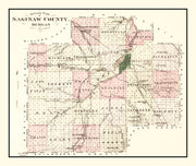 Saginaw County histo