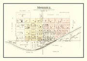 Morrill history