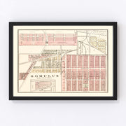 Romulus Vintage Map 1893