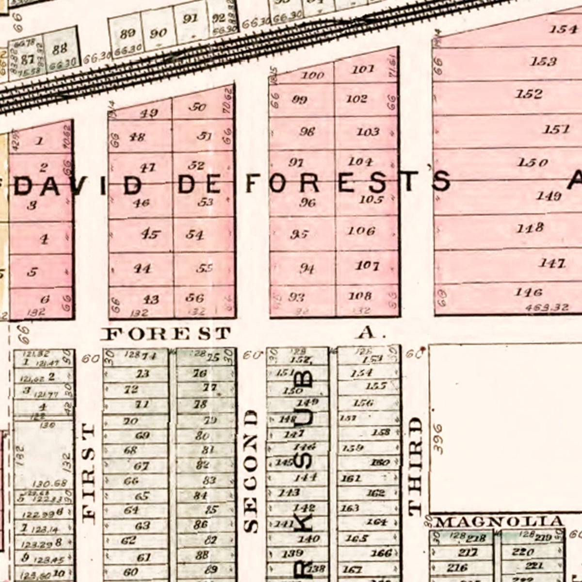 Restored historic details from the 1893 city map of Wayne, Michigan