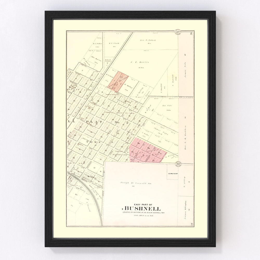 Bushnell Vintage Map 1893