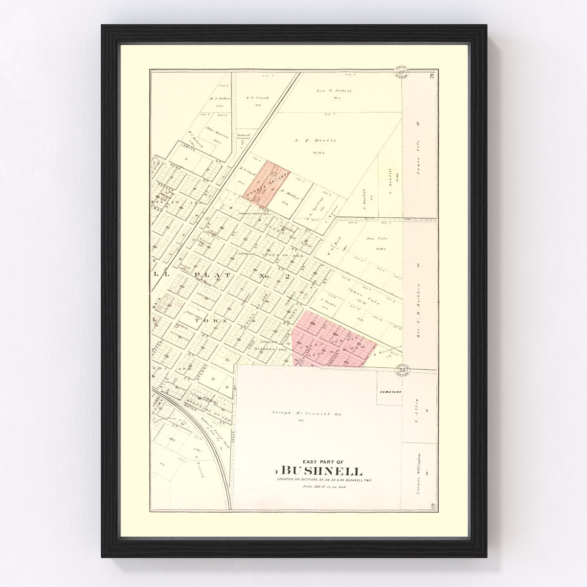 Bushnell Vintage Map 1893