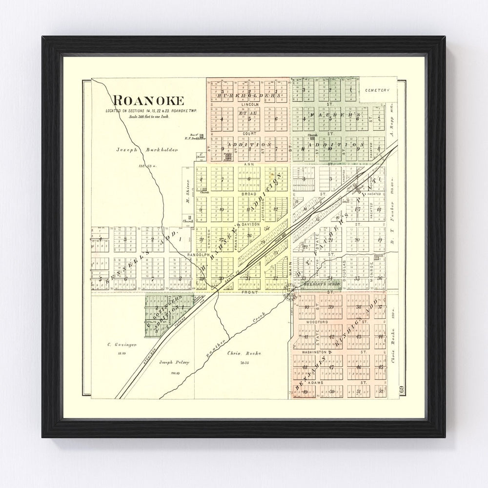 Roanoke Vintage Map 1893