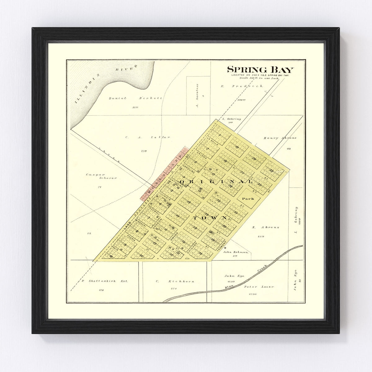 Spring Bay Vintage Map 1893