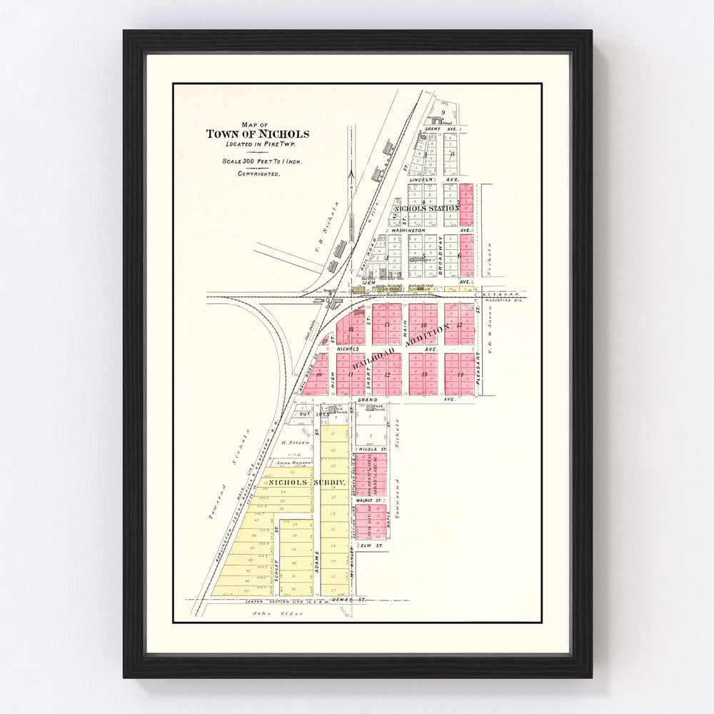 Nichols Vintage Map 1899