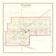 Walker history