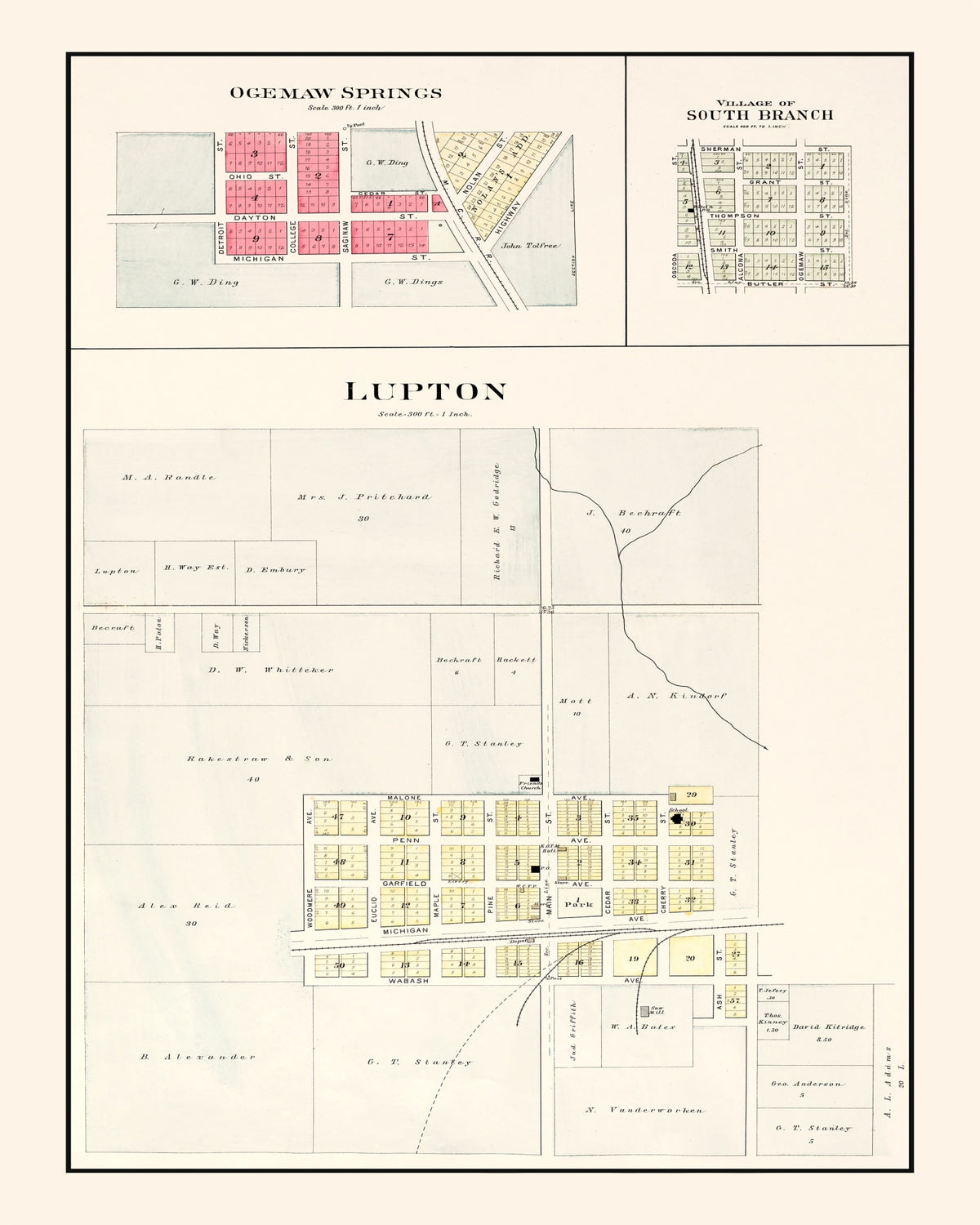 Preview of Vintage Map of South Branch, Michigan 1903