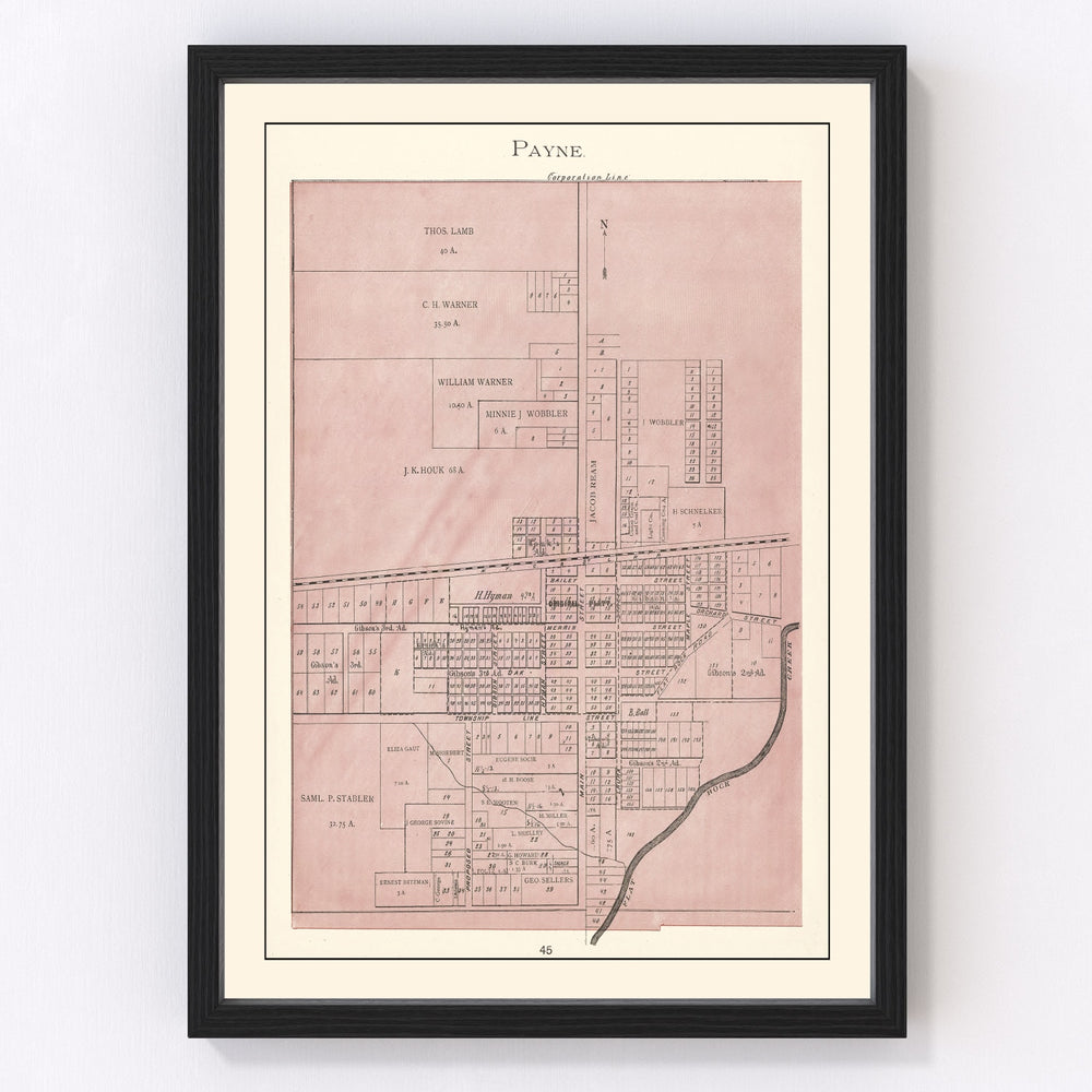 Payne Vintage Map 1905