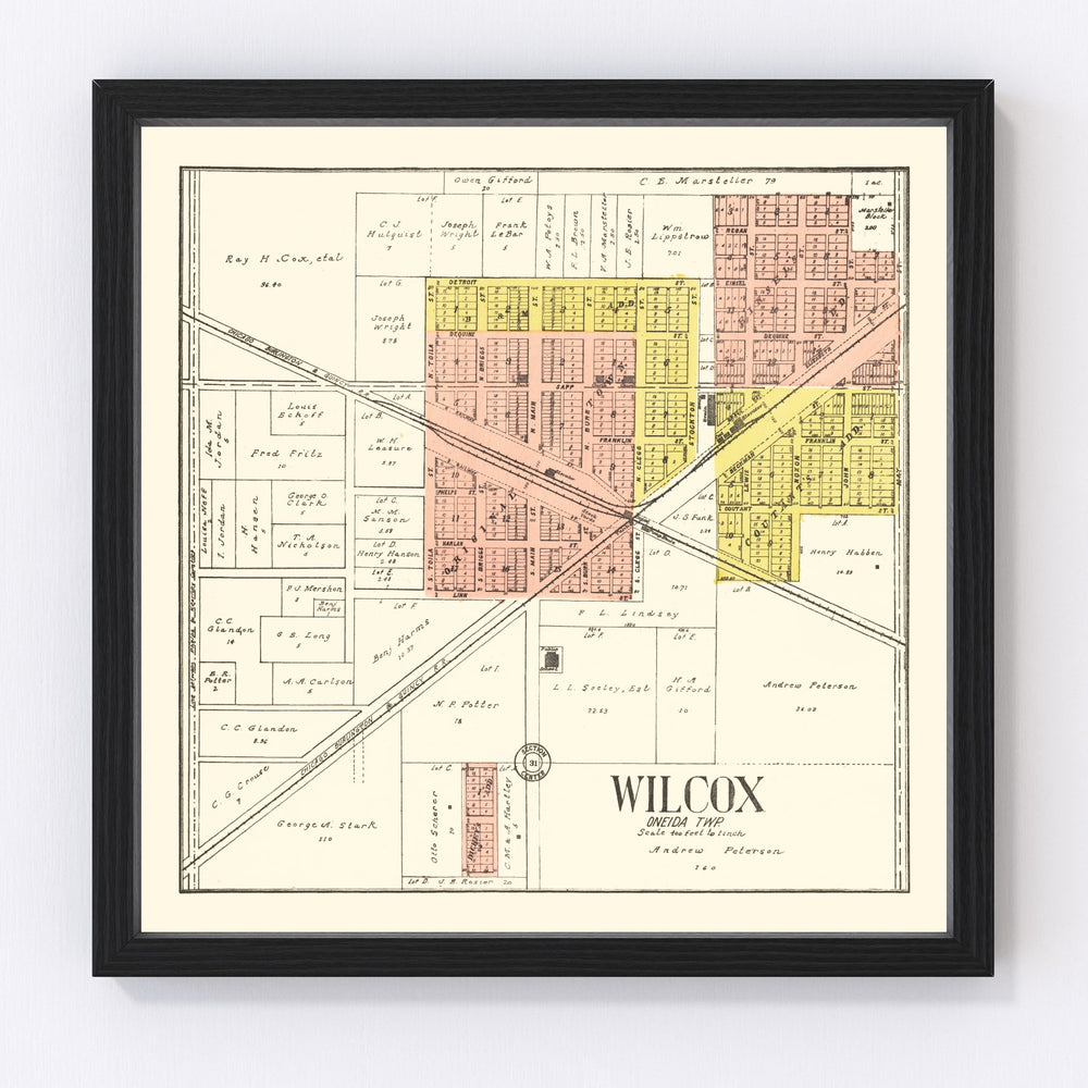 Waushara County Vintage Map 1906