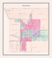 Wild Rose history
