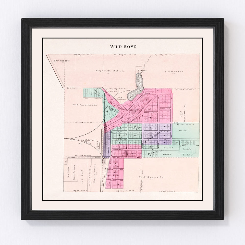 Wild Rose Vintage Map 1906