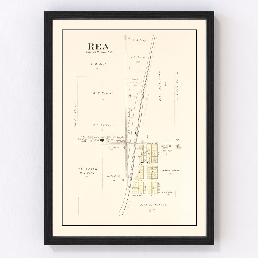 Rea history