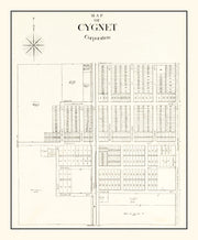 Cygnet history