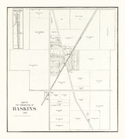 Haskins history