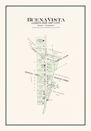 Buena Vista history