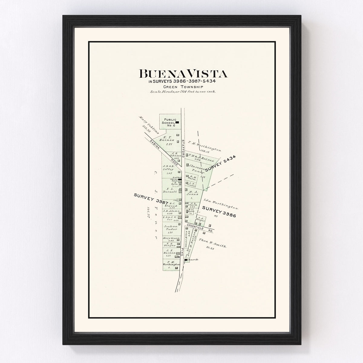 Buena Vista Vintage Map 1913