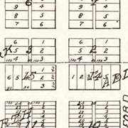 old Ray map