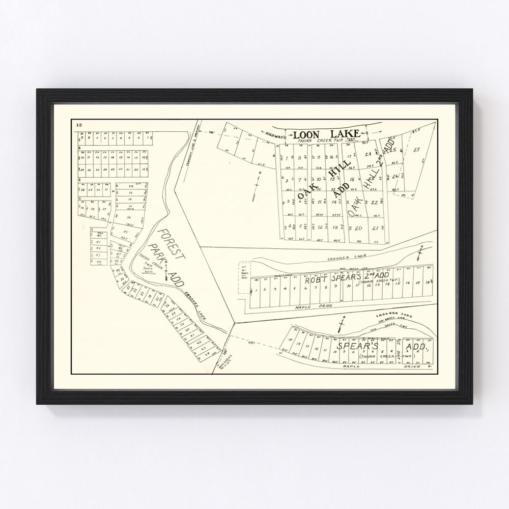 Loon Lake history
