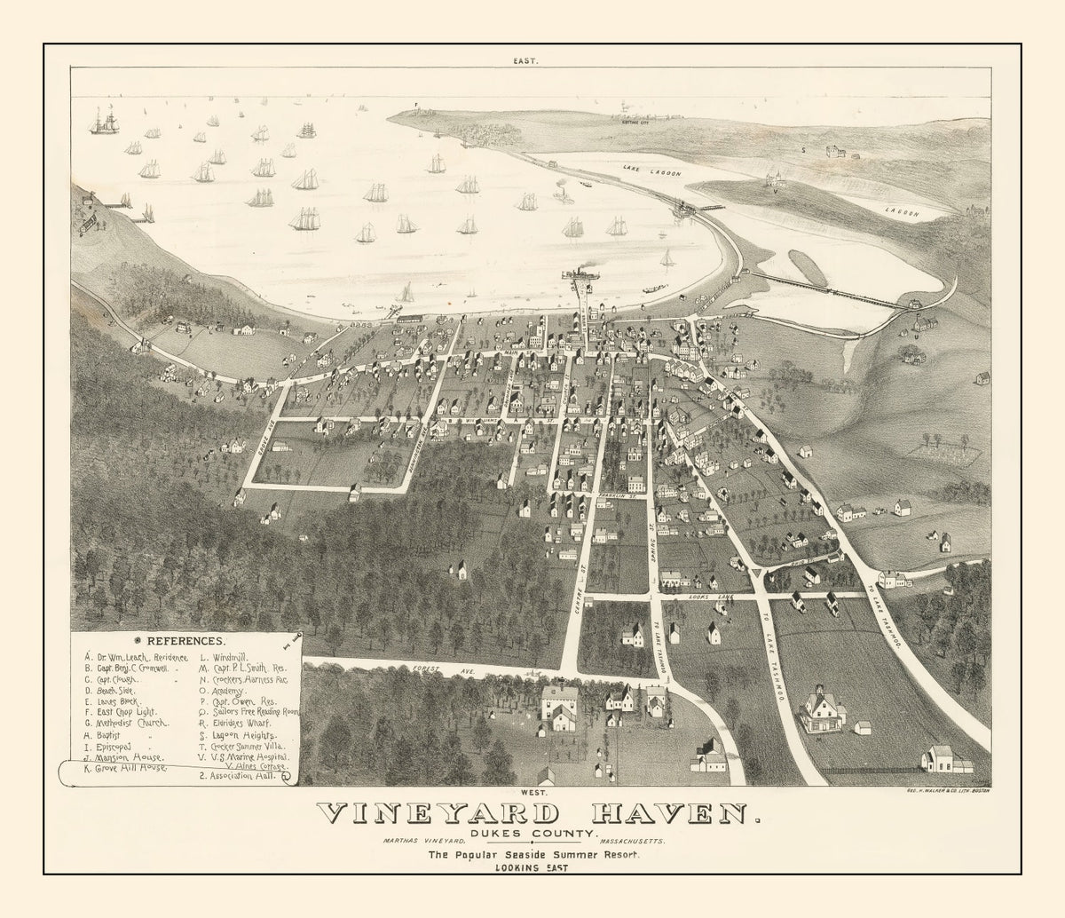 Preview of Vintage Vineyard Haven Map 1893