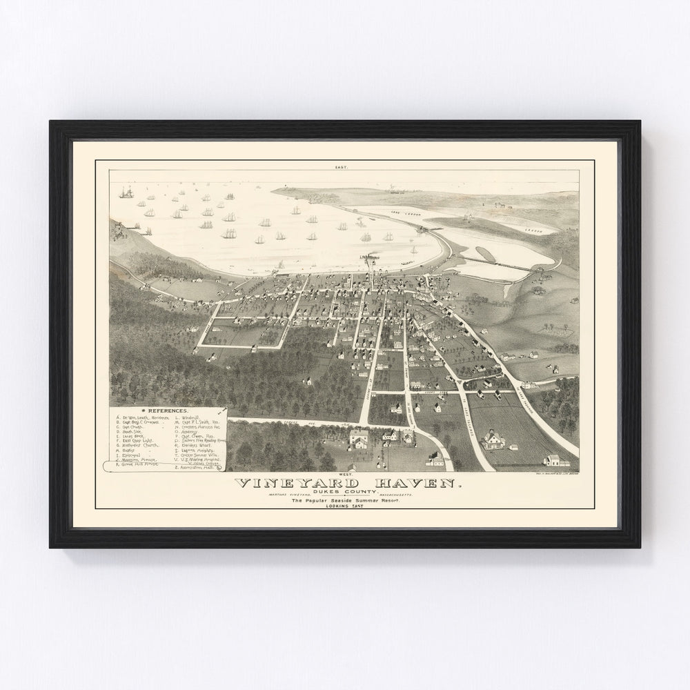 Vineyard Haven Vintage Map 1893