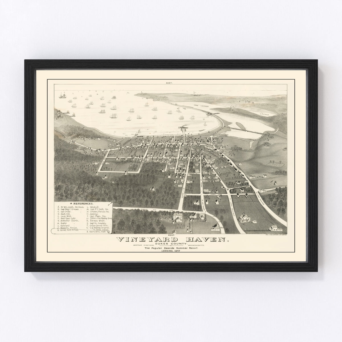 Vineyard Haven Vintage Map 1893