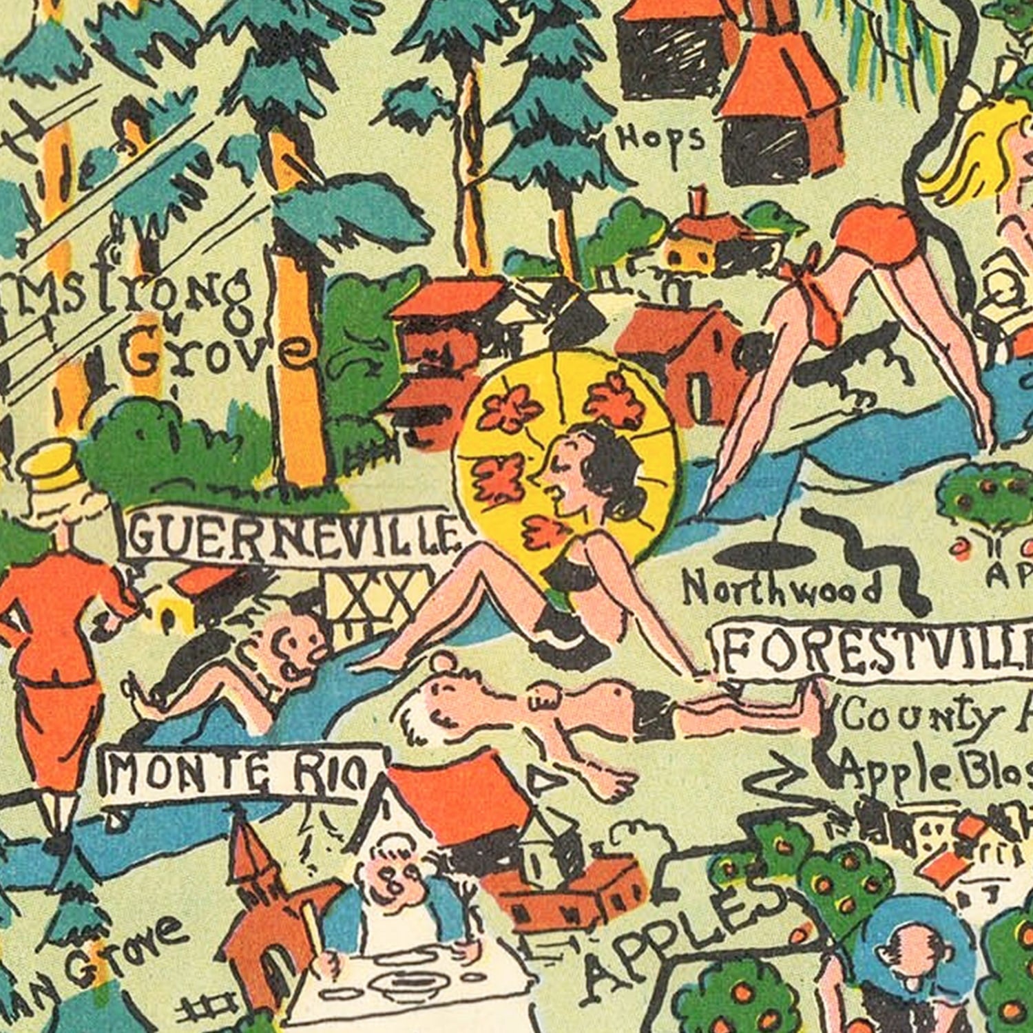 Restored historic details from the 1951 county map of Sonoma County, California