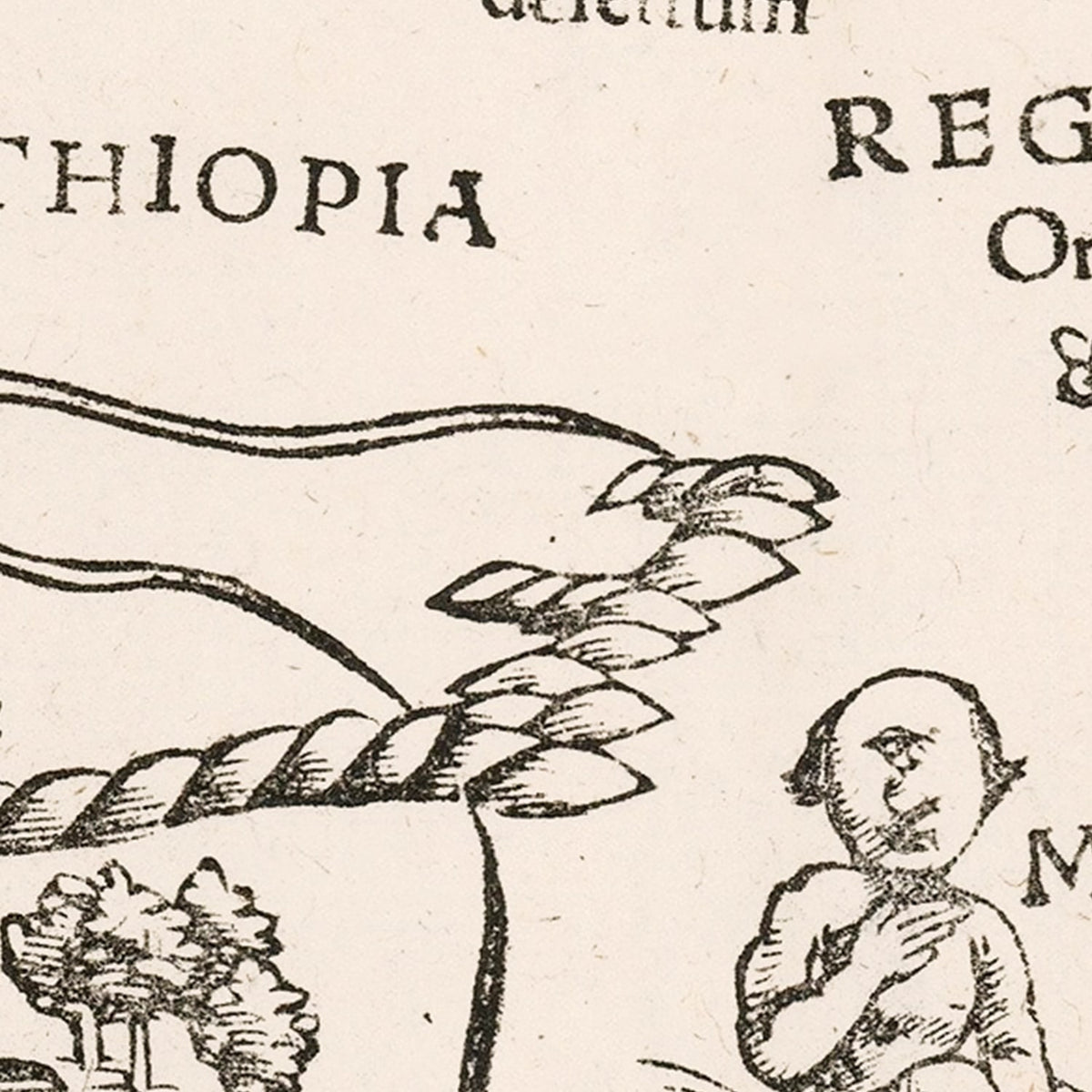 Restored historic details from the 1574 continent map of County