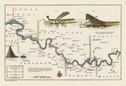 Gambia River history